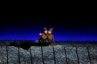 Met Opera Rheingold