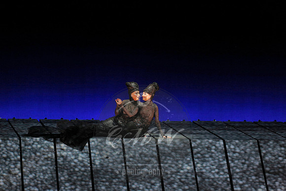 Met Opera Rheingold