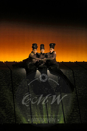 Met Opera Rheingold