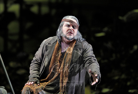 San Francisco Opera, die ring des nibelungen, The Ring Cycle, Die Walkure