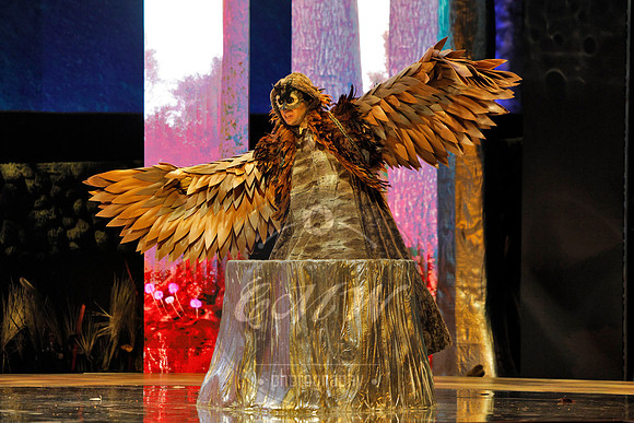 Des Moines Metro Opera, The Cunning Little Vixen