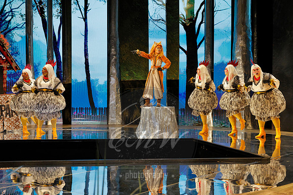 Des Moines Metro Opera, The Cunning Little Vixen