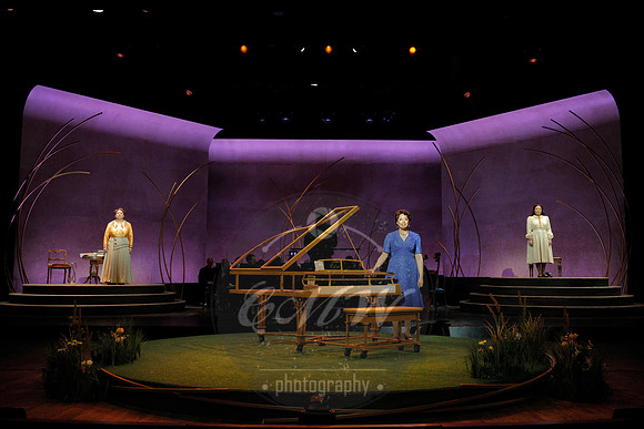 Minnesota Opera, My Name is Florence