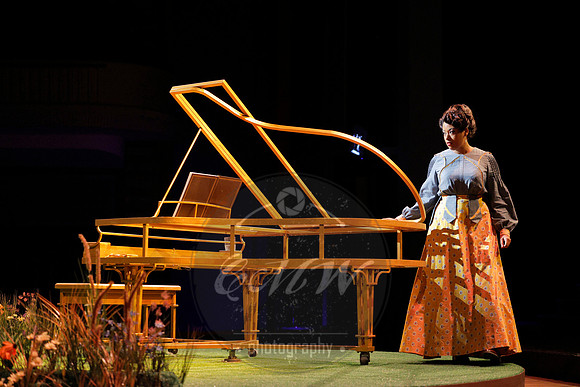 Minnesota Opera, My Name is Florence