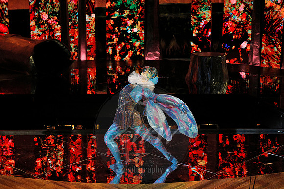 Des Moines Metro Opera, The Cunning Little Vixen