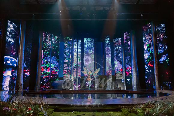 Des Moines Metro Opera, The Cunning Little Vixen
