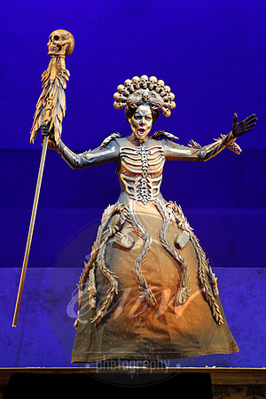 Lyric Opera of Chicago, El último sueño de Frida y Diego
