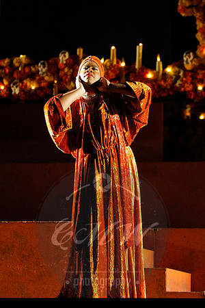 Lyric Opera of Chicago, El último sueño de Frida y Diego