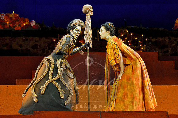 Lyric Opera of Chicago, El último sueño de Frida y Diego