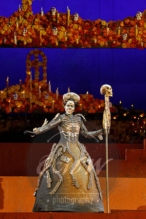 Lyric Opera of Chicago, El último sueño de Frida y Diego