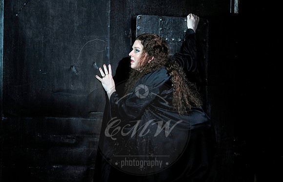 San Francisco Opera, Les Troyens