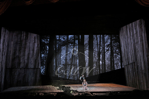 San Francisco opera susannah