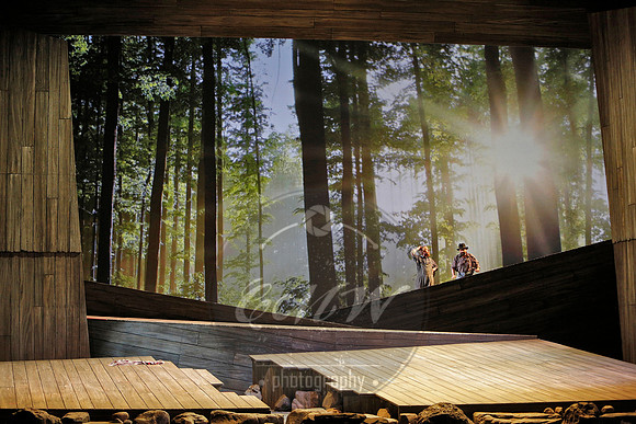 San Francisco opera susannah