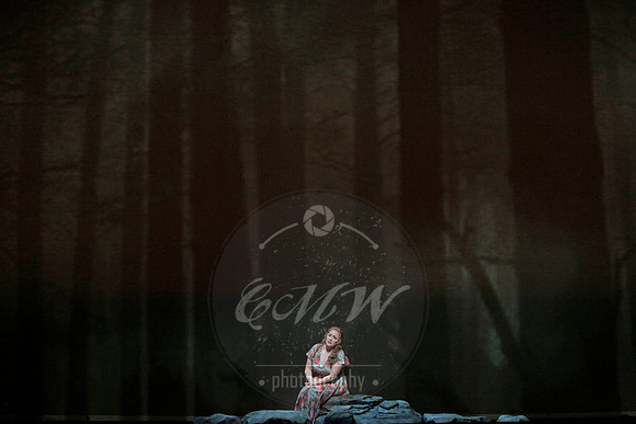 San Francisco opera susannah