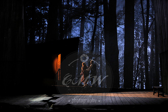 San Francisco opera susannah