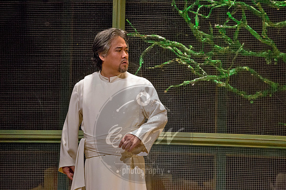 Metropolitan Opera, Les Troyens
