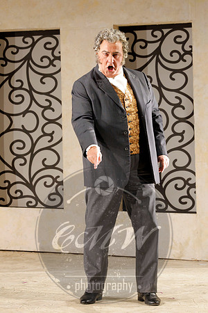 San Francisco Opera, The Barber of Seville