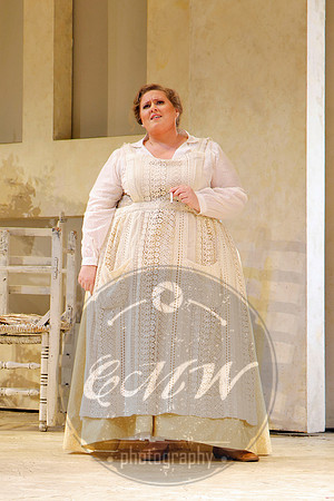 San Francisco Opera, The Barber of Seville