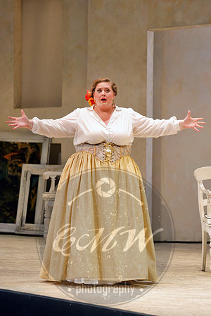 San Francisco Opera, The Barber of Seville