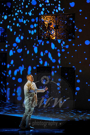 San Francisco Opera, The Barber of Seville