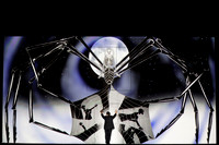 Los Angeles Opera, The Magic Flute