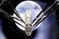 Los Angeles Opera, The Magic Flute