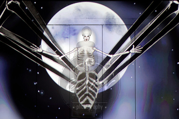 Los Angeles Opera, The Magic Flute