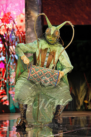 Des Moines Metro Opera, The Cunning Little Vixen