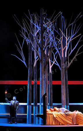 San Francisco Opera Werther with Ramon Vargas, Alice Coote, Heidi Stober and Brian Mulligan by Massenet