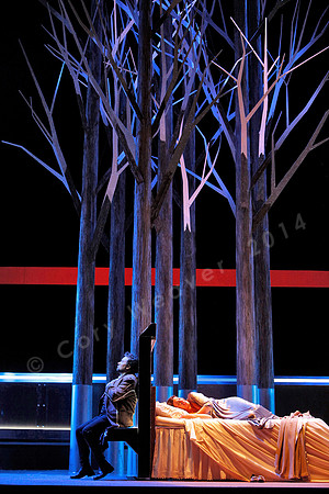 San Francisco Opera Werther with Ramon Vargas, Alice Coote, Heidi Stober and Brian Mulligan by Massenet
