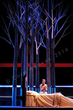 San Francisco Opera Werther with Ramon Vargas, Alice Coote, Heidi Stober and Brian Mulligan by Massenet