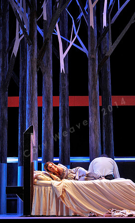 San Francisco Opera Werther with Ramon Vargas, Alice Coote, Heidi Stober and Brian Mulligan by Massenet