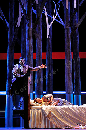 San Francisco Opera Werther with Ramon Vargas, Alice Coote, Heidi Stober and Brian Mulligan by Massenet