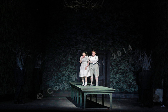 Metropolitan Opera Hansel and Gretel with Andriana Chuchman and Jennifer Johnson Cano by Engelbert Humperdink