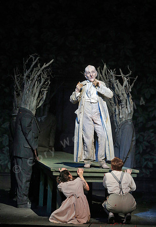 Metropolitan Opera Hansel and Gretel with Andriana Chuchman and Jennifer Johnson Cano by Engelbert Humperdink