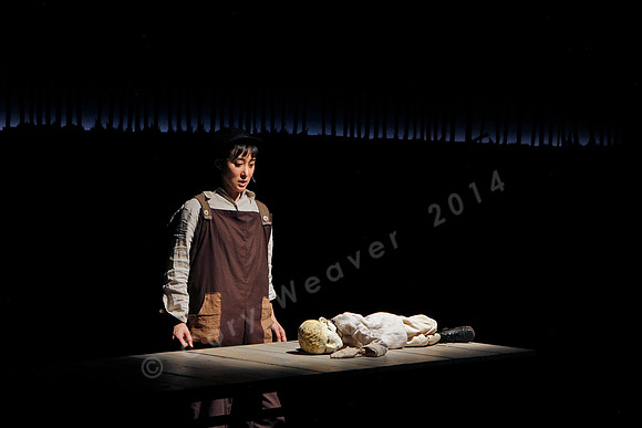 Prototype Festival presents “The Scarlet Ibis” Directed by Mallory Catlett, Music Direction by Steven Osgood, Puppetry Design by Tom Lee, Set Design by Joseph Silovsky, Lighting Design by Jeanette Oi-