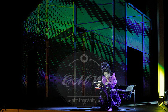West Edge Opera, Rinaldo