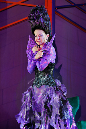 West Edge Opera, Rinaldo