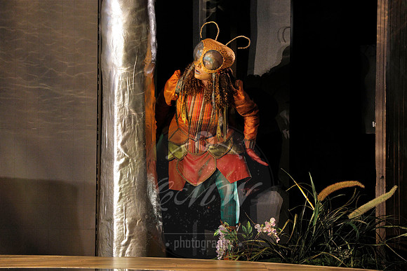 Des Moines Metro Opera, The Cunning Little Vixen