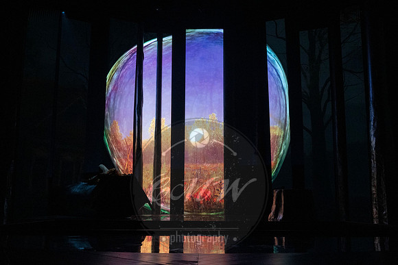 Des Moines Metro Opera, The Cunning Little Vixen