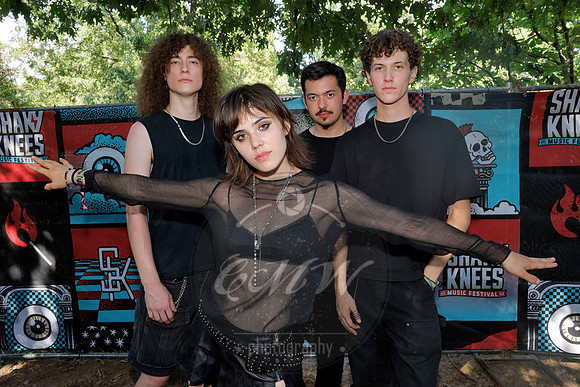 Shaky Knees Music Festival,