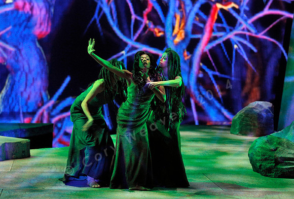Lyric Opera of Kansas City Rusalka