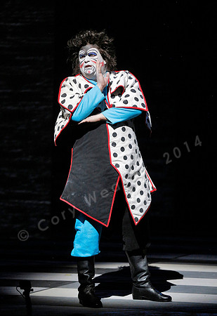 San Francisco Opera Magic Flute (2015)