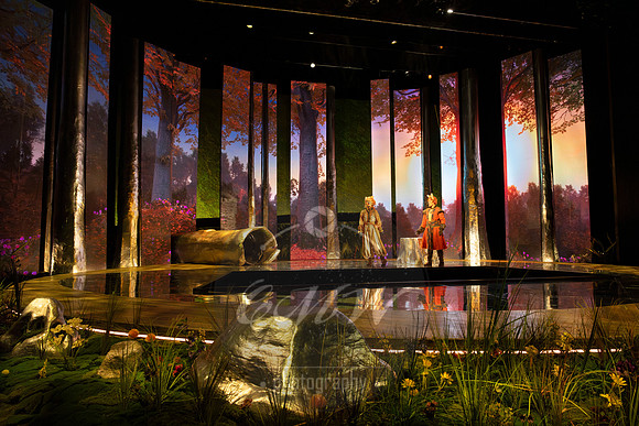 Des Moines Metro Opera, The Cunning Little Vixen
