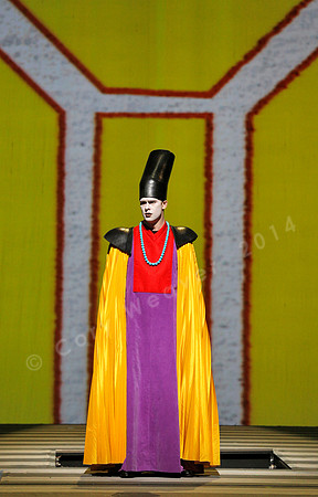 San Francisco Opera Magic Flute (2015)