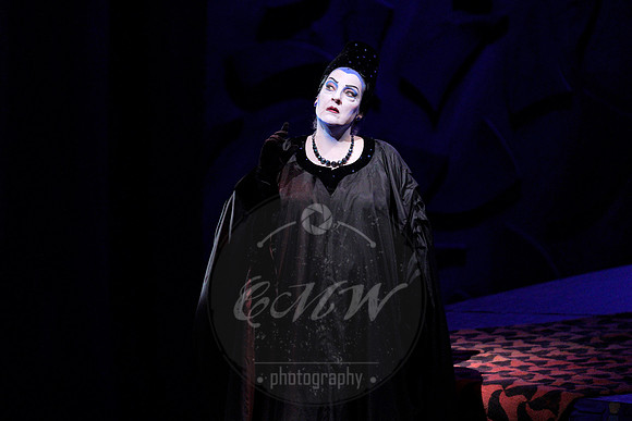 _DSC1610 copy