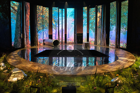 Des Moines Metro Opera, The Cunning Little Vixen