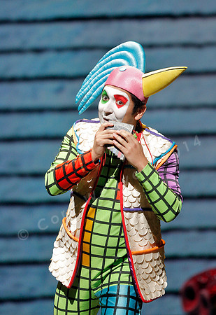 San Francisco Opera Magic Flute (2015)