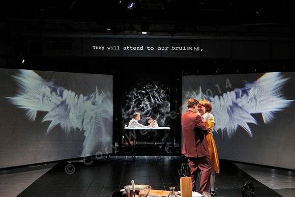 Prototype Festival 2016, Angel's Bone