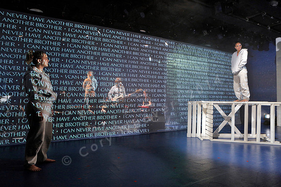 Prototype Festival 2016, The Good Swimmer